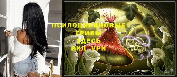 скорость Абаза